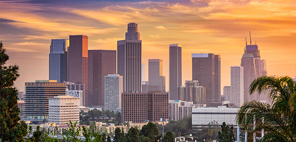 2010 LA Skyline Photo